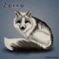 Zorro
